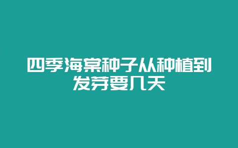 四季海棠种子从种植到发芽要几天-会东网