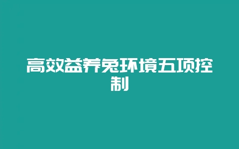 高效益养兔环境五项控制-会东网