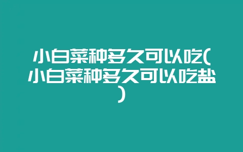 小白菜种多久可以吃(小白菜种多久可以吃盐)-会东网