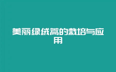 美丽绿绒蒿的栽培与应用-会东网