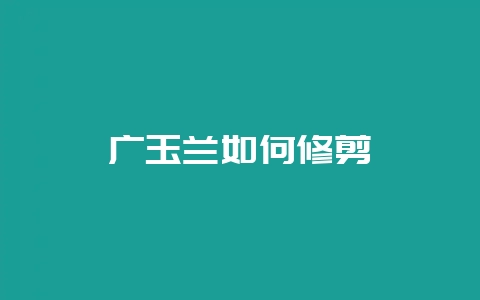 广玉兰如何修剪-会东网