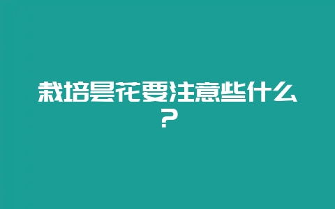 栽培昙花要注意些什么?插图 栽培昙花要注意些什么?插图