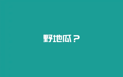 野地瓜？-会东网