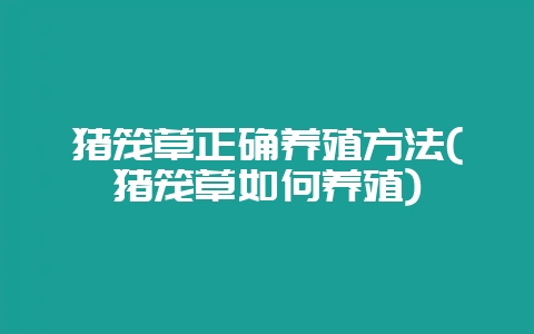 猪笼草正确养殖方法(猪笼草如何养殖)-会东网