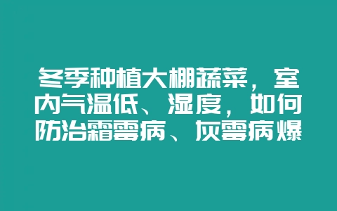 冬季种植大棚蔬菜,室内气温低、湿度,如何防治霜霉病、灰霉病爆发?插图 冬季种植大棚蔬菜,室内气温低、湿度,如何防治霜霉病、灰霉病爆发?插图