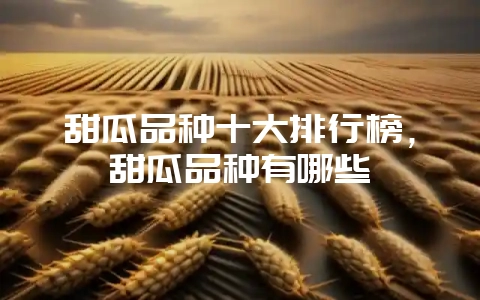 甜瓜品种十大排行榜,甜瓜品种有哪些插图 甜瓜品种十大排行榜,甜瓜品种有哪些插图