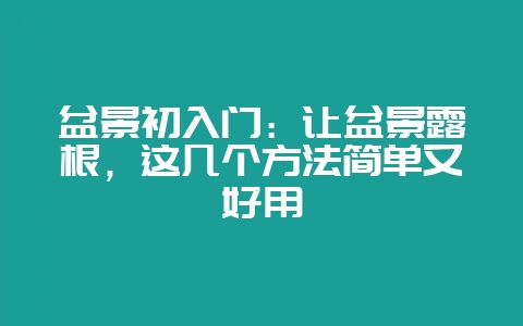 盆景初入门：让盆景露根，这几个方法简单又好用-会东网