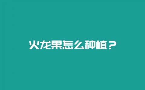 火龙果怎么种植？-会东网