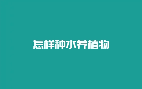 怎样种水养植物-会东网