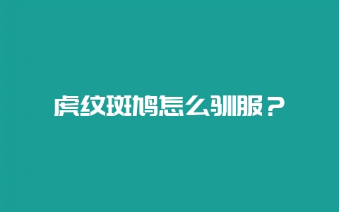 虎纹斑鸠怎么驯服?插图 虎纹斑鸠怎么驯服?插图