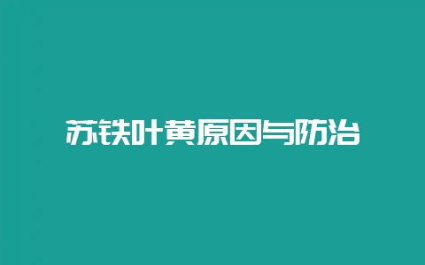 苏铁叶黄原因与防治-会东网