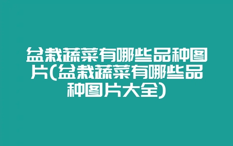 盆栽蔬菜有哪些品种图片(盆栽蔬菜有哪些品种图片大全)-会东网