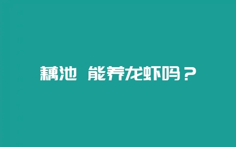 藕池 能养龙虾吗？-会东网