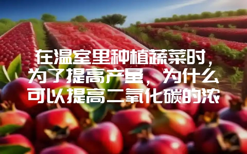 在温室里种植蔬菜时,为了提高产量,为什么可以提高二氧化碳的浓度??插图 在温室里种植蔬菜时,为了提高产量,为什么可以提高二氧化碳的浓度??插图