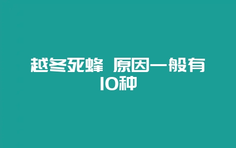 越冬死蜂 原因一般有10种-会东网