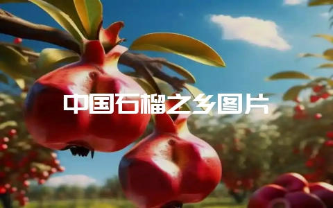 中国石榴之乡图片-会东网