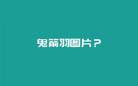 鬼箭羽图片?插图 鬼箭羽图片?插图