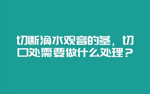 切断滴水观音的茎，切口处需要做什么处理？-会东网
