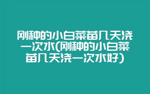 刚种的小白菜苗几天浇一次水(刚种的小白菜苗几天浇一次水好)插图 刚种的小白菜苗几天浇一次水(刚种的小白菜苗几天浇一次水好)插图
