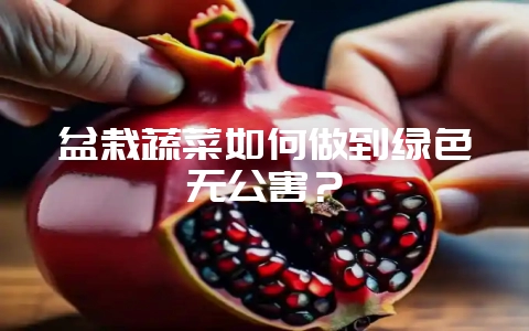 盆栽蔬菜如何做到绿色无公害？-会东网