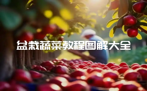 盆栽蔬菜教程图解大全插图 盆栽蔬菜教程图解大全插图