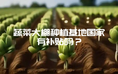 蔬菜大棚种植基地国家有补贴吗？-会东网
