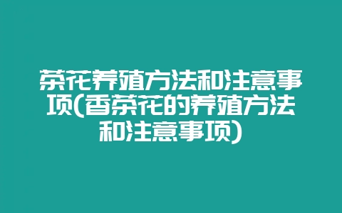 茶花养殖方法和注意事项(香茶花的养殖方法和注意事项)-会东网
