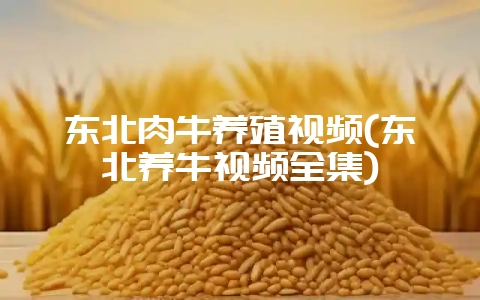 东北肉牛养殖视频(东北养牛视频全集)-会东网