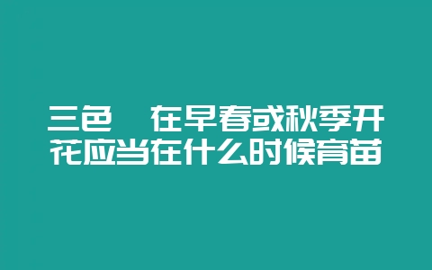 三色堇在早春或秋季开花应当在什么时候育苗-会东网