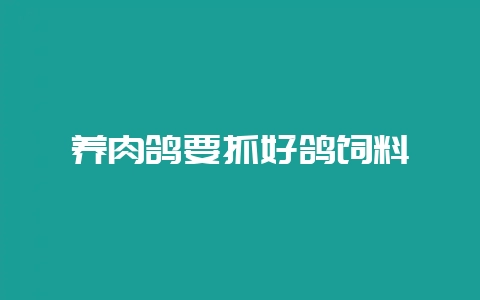 养肉鸽要抓好鸽饲料-会东网