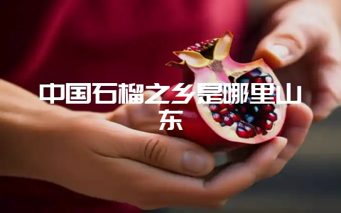 中国石榴之乡是哪里山东-会东网