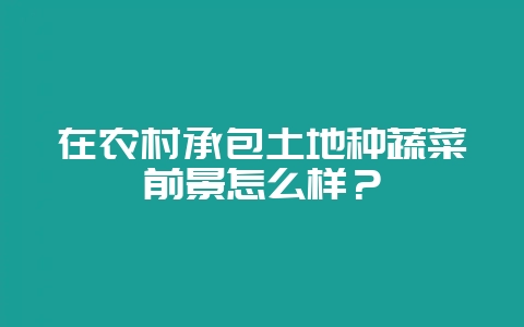 在农村承包土地种蔬菜前景怎么样？-会东网