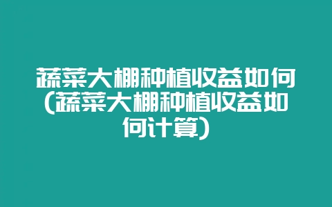 蔬菜大棚种植收益如何(蔬菜大棚种植收益如何计算)-会东网