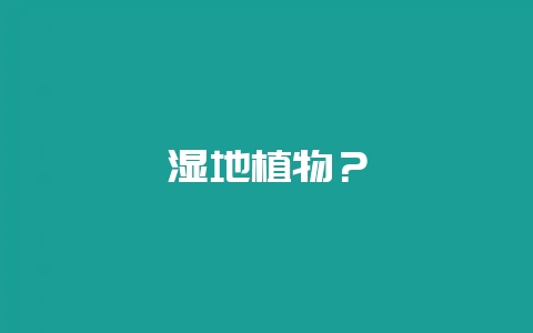 湿地植物？-会东网