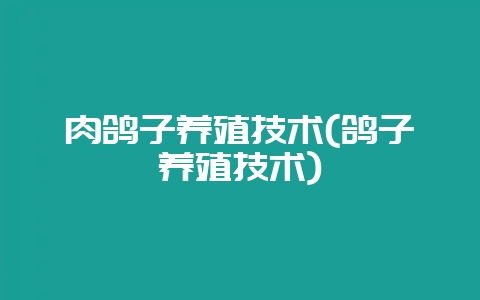 肉鸽子养殖技术(鸽子养殖技术)-会东网