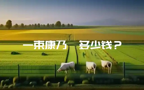 一束康乃馨多少钱？-会东网