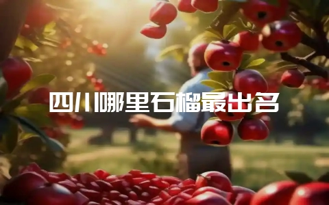 四川哪里石榴最出名-会东网