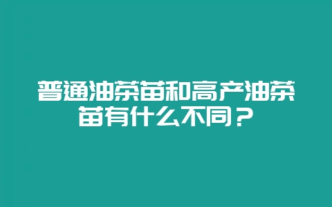 普通油茶苗和高产油茶苗有什么不同？-会东网