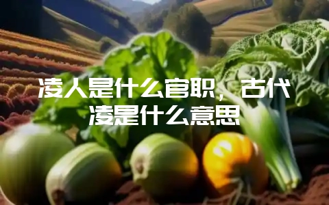凌人是什么官职，古代凌是什么意思-会东网