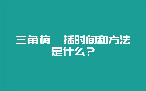 三角梅扦插时间和方法是什么？-会东网