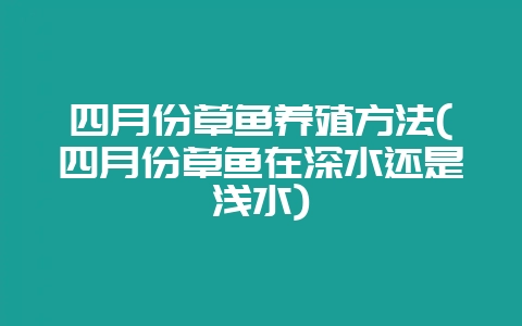四月份草鱼养殖方法(四月份草鱼在深水还是浅水)-会东网