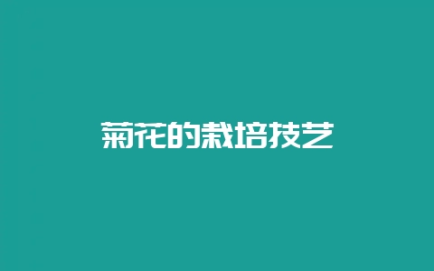 菊花的栽培技艺-会东网