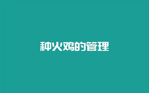 种火鸡的管理-会东网