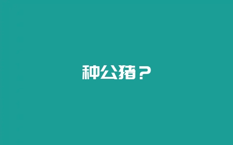 种公猪？-会东网