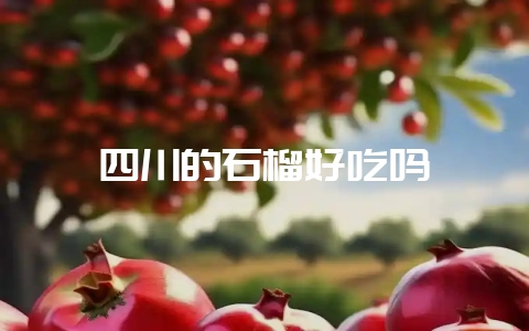 四川的石榴好吃吗-会东网