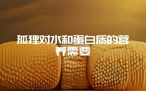 狐狸对水和蛋白质的营养需要-会东网