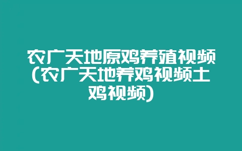 农广天地原鸡养殖视频(农广天地养鸡视频土鸡视频)插图 农广天地原鸡养殖视频(农广天地养鸡视频土鸡视频)插图
