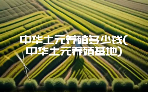中华土元养殖多少钱(中华土元养殖基地)-会东网
