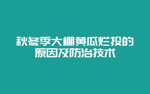 秋冬季大棚黄瓜烂头的原因及防治技术-会东网