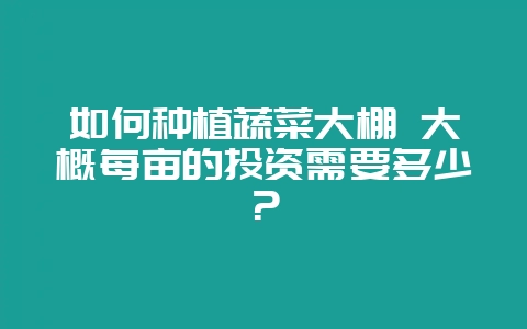 如何种植蔬菜大棚 大概每亩的投资需要多少?插图 如何种植蔬菜大棚 大概每亩的投资需要多少?插图